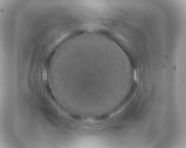 X0000087711155200706011802