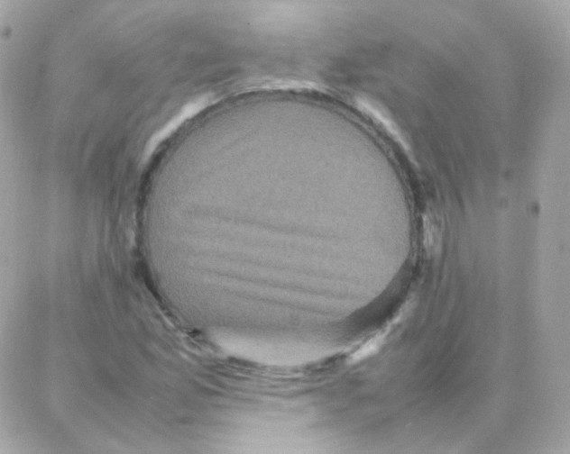 X0000087711165200706011802