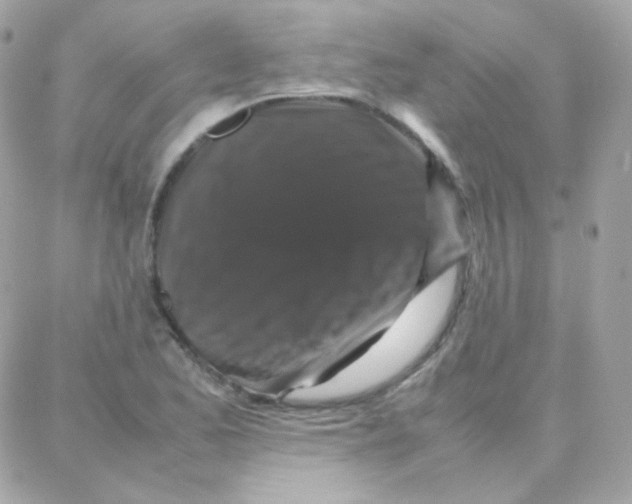 X0000087711173200706011802