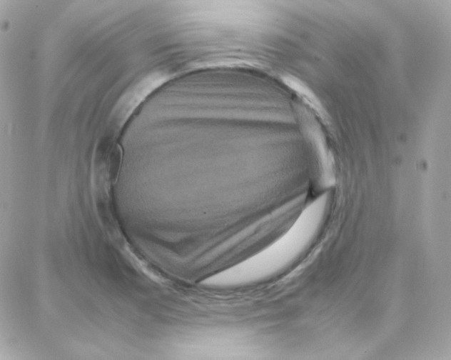 X0000087711177200706011802