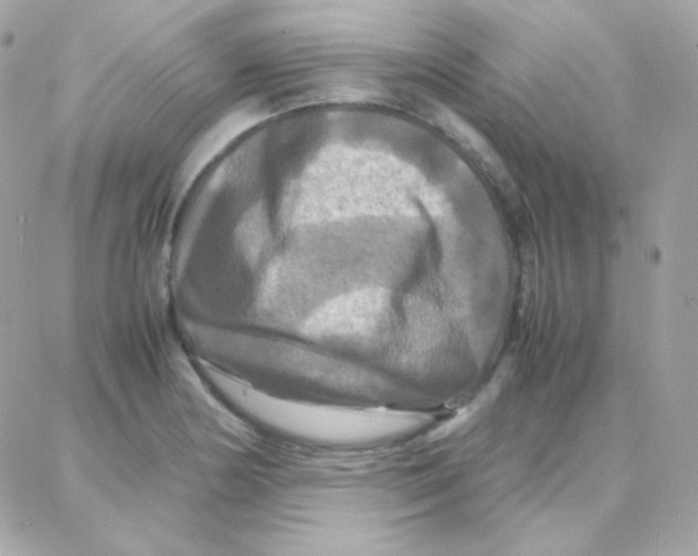 X0000087711178200706011802