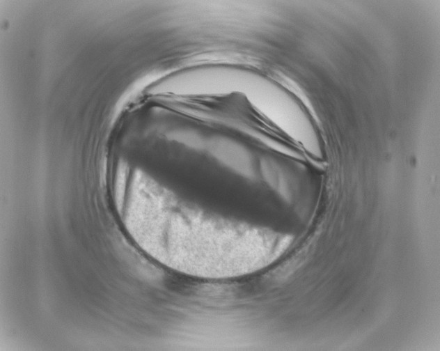 X0000087711179200706011802