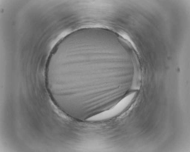 X0000087711181200706011802