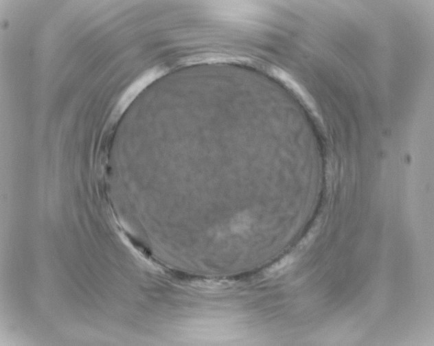 X0000087711185200706011802