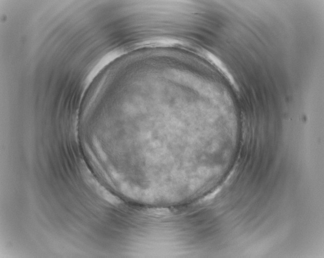 X0000087711186200706011802