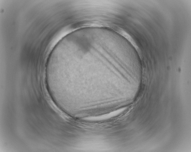 X0000087711187200706011802