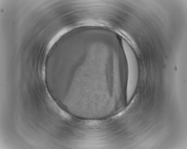 X0000087711188200706011802