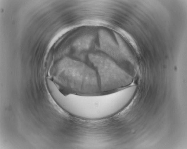 X0000087711192200706011802