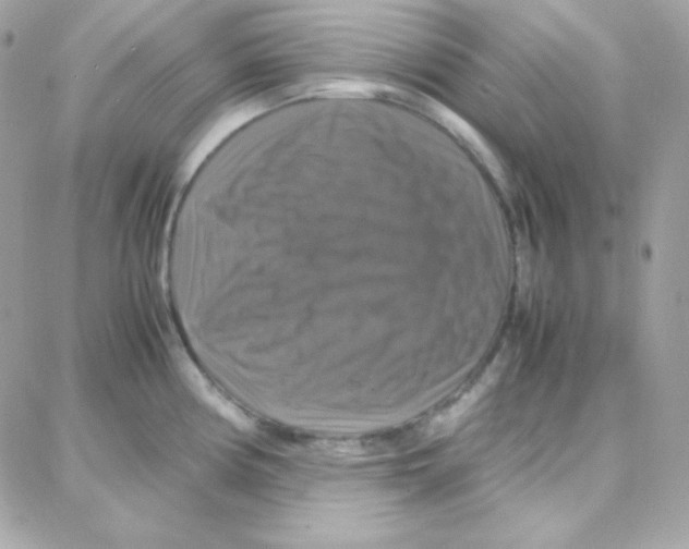 X0000087711194200706011802