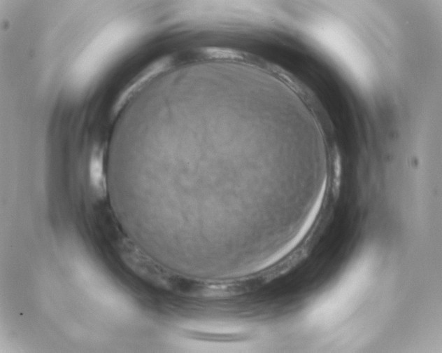 X0000087711198200706011802