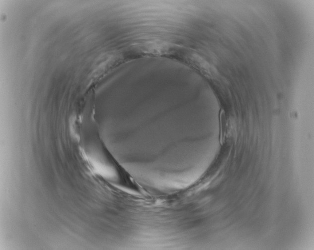 X0000087711202200706011801