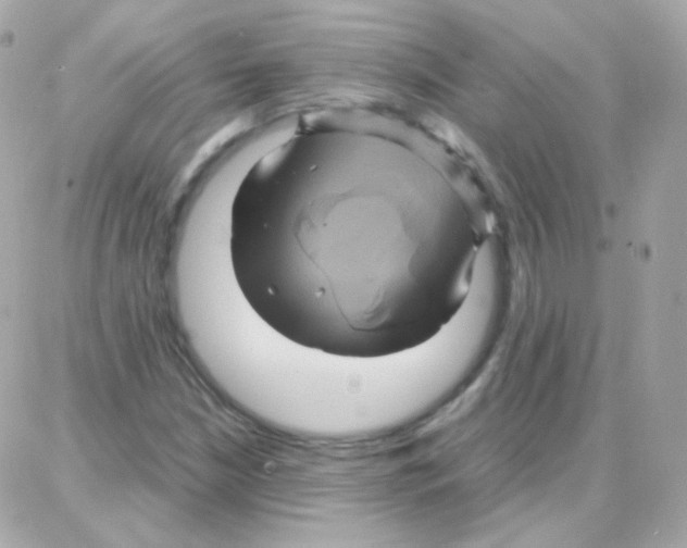 X0000087711210200706011801