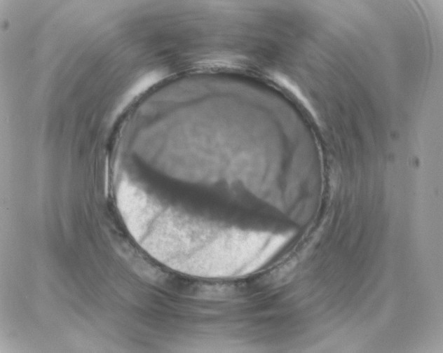 X0000087711219200706011801