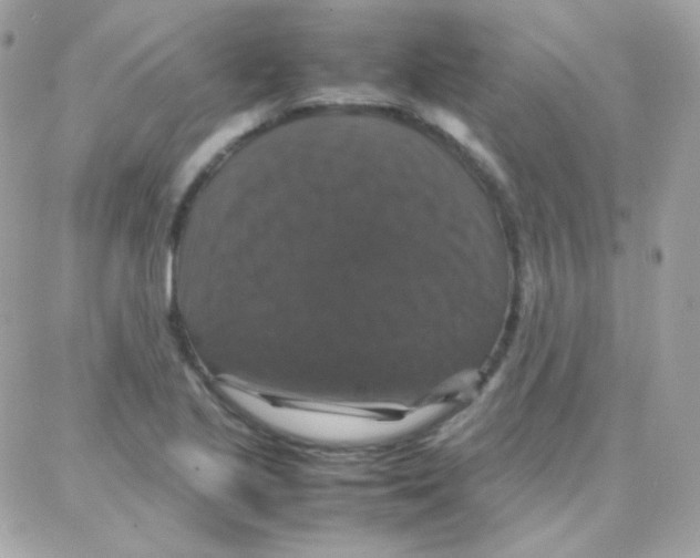 X0000087711221200706011801