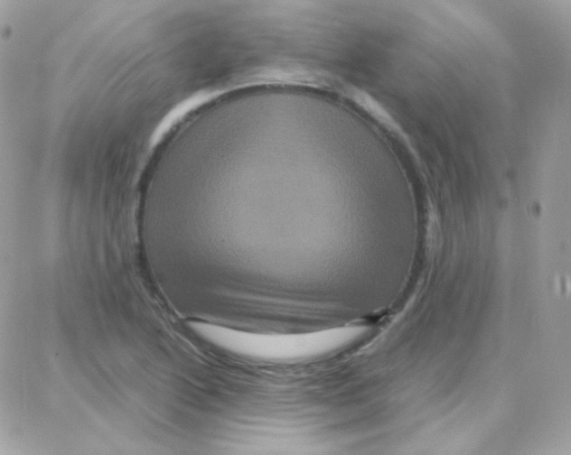 X0000087711222200706011801