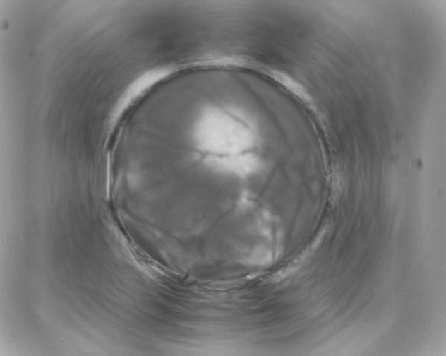 X0000087711223200706011801