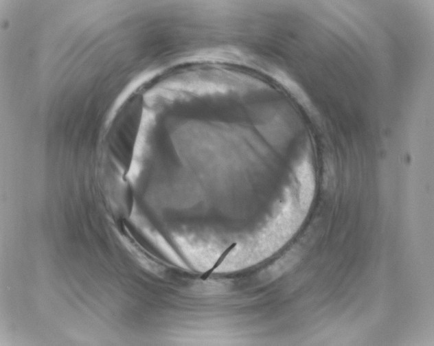 X0000087711224200706011801