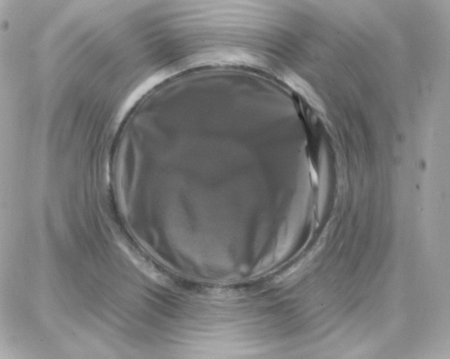 X0000087711226200706011801