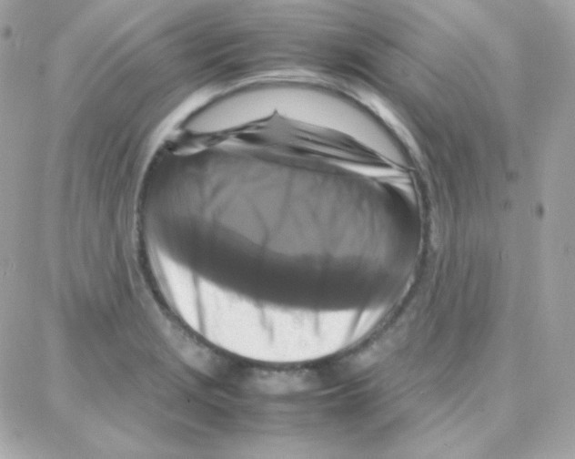 X0000087711229200706011801