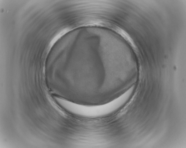 X0000087711234200706011801