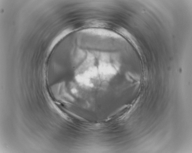 X0000087711235200706011802