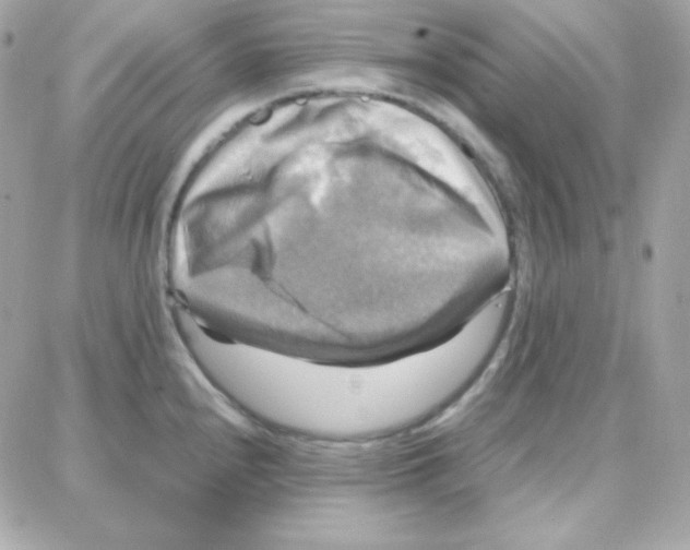 X0000087711240200706011802