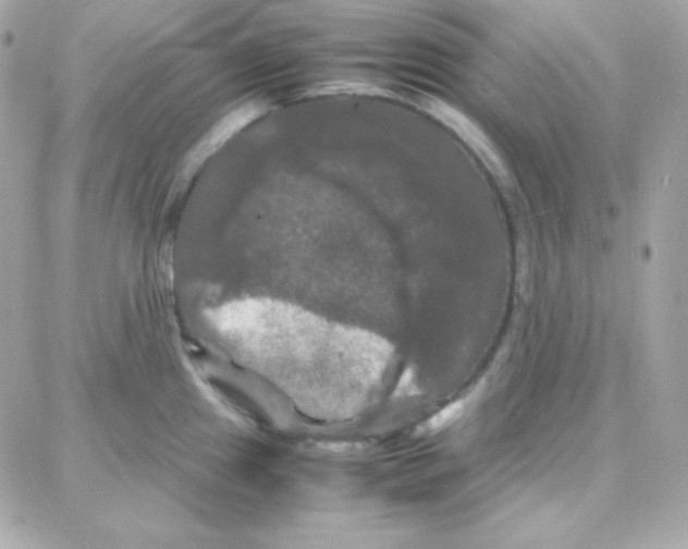 X0000087711241200706011802