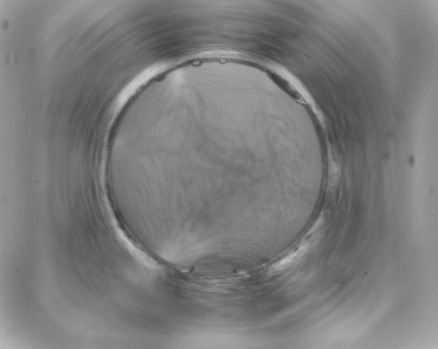 X0000087711245200706011802