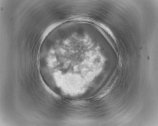 X0000087711247200706011802