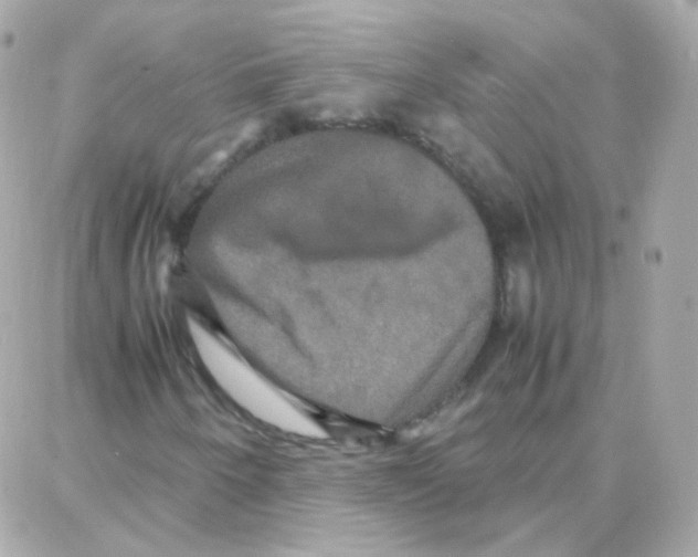 X0000087711250200706011801