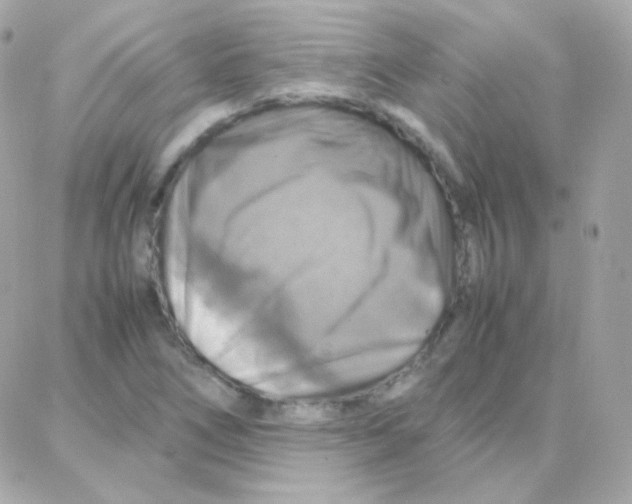 X0000087711266200706011801