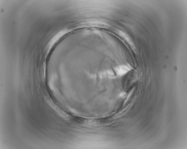 X0000087711275200706011801