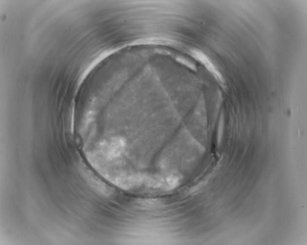 X0000087711276200706011800