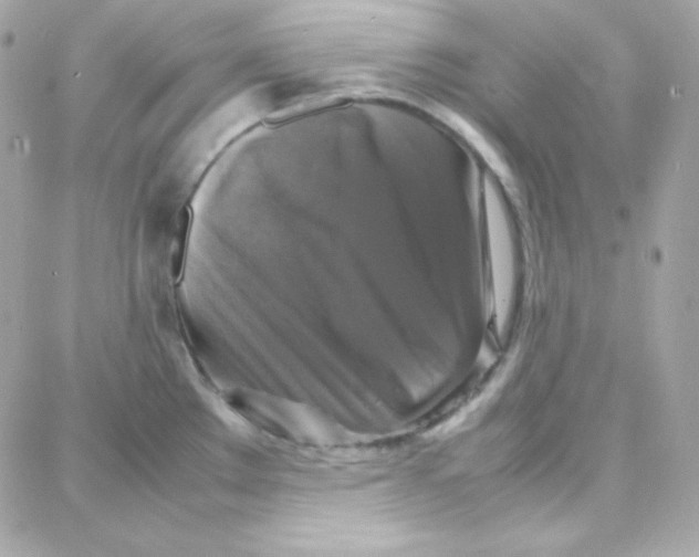 X0000087711289200706011800