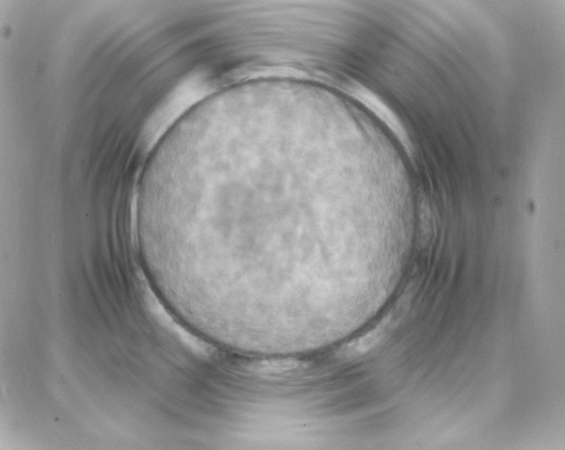 X0000087711290200706011800
