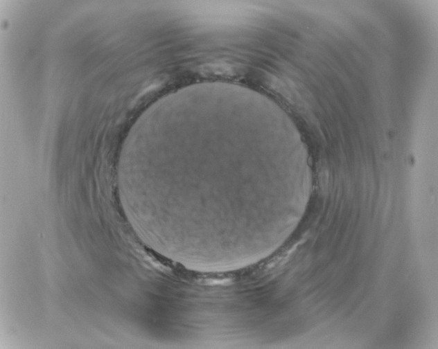 X0000087711297200706011759