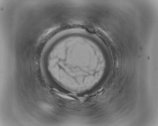X0000087711303200706011759