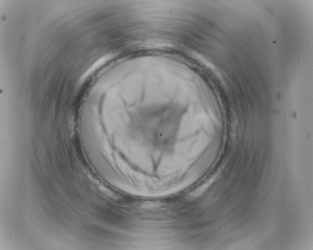 X0000087711306200706011800
