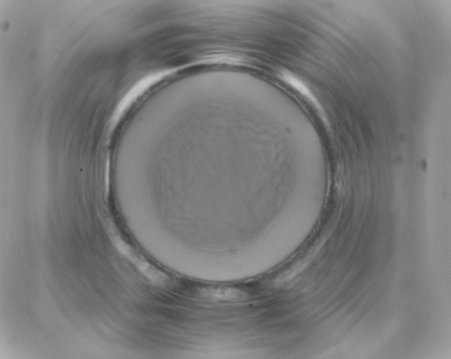 X0000087711323200706011800