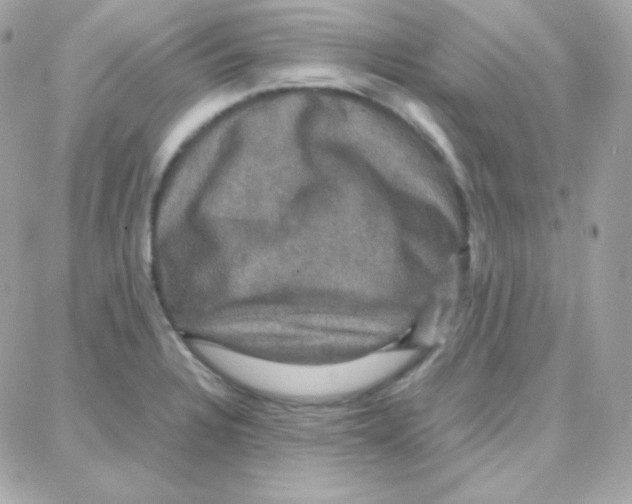 X0000087711328200706011800