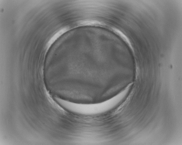 X0000087711330200706011800
