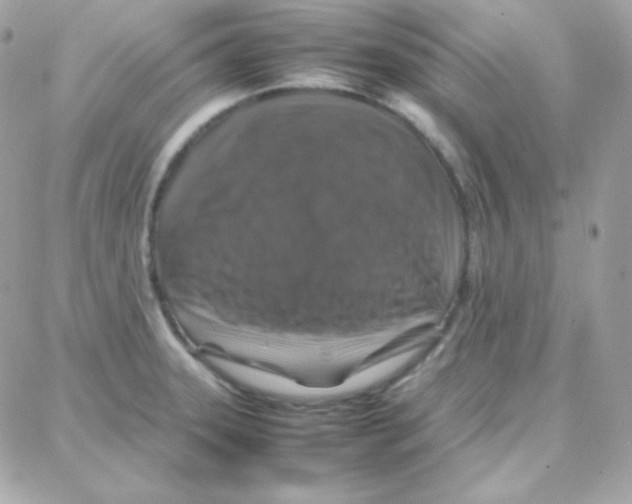 X0000087711331200706011800