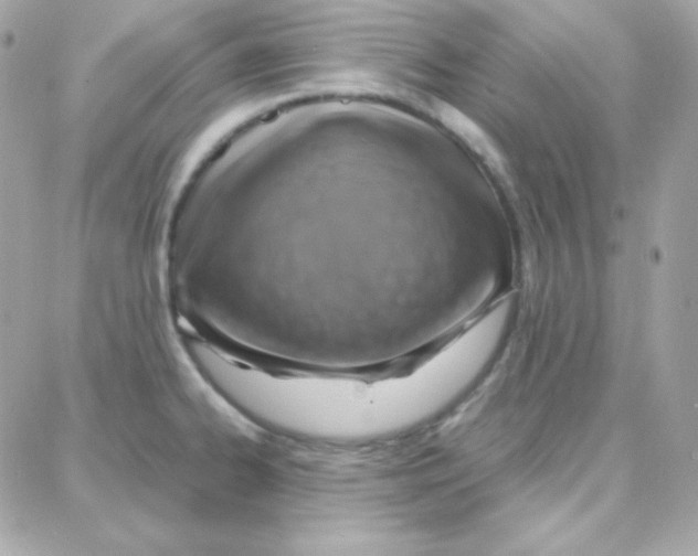 X0000087711334200706011800