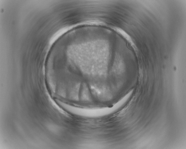 X0000087711335200706011800
