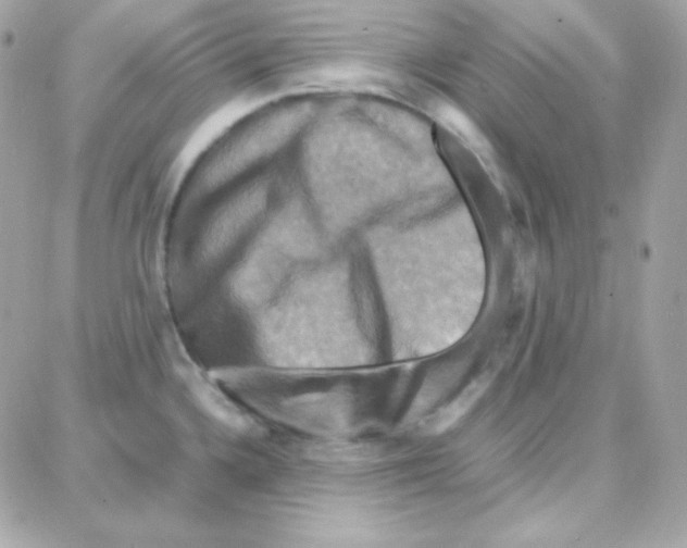 X0000087711336200706011800