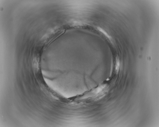 X0000087711348200706011759