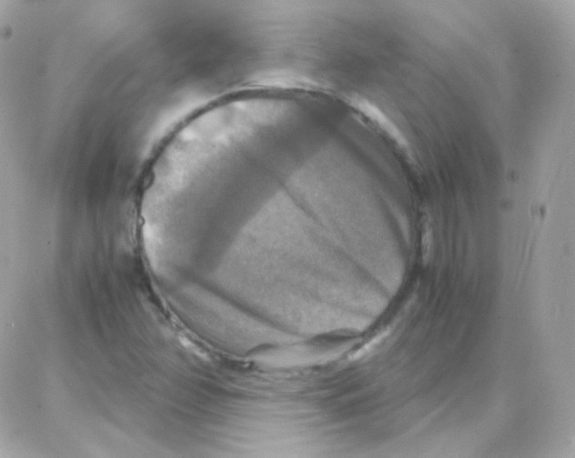 X0000087711358200706011759
