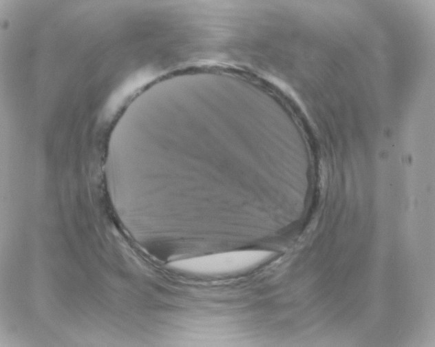 X0000087711359200706011759