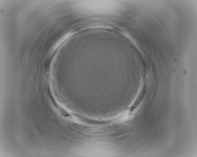 X0000087711369200706011759