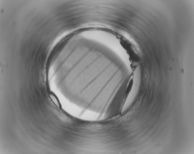 X0000087711372200706011759